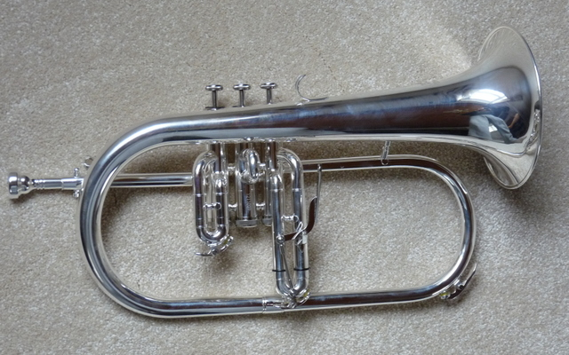 Fugle horn